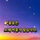 삼여 Daum카페