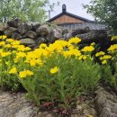 유림-1030 이미지