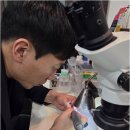 스타키보청기 종로센터 | 일산보청기, 믿을 수 있는 평생 청각 파트너 스타키보청기 일산센터 후기