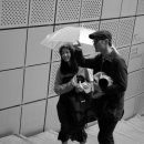 레이즈어라운드 이미지