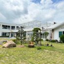 사자양컴퍼니 이미지