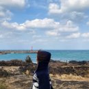 슬로우버드 이미지