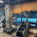 다비드 짐 이미지