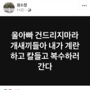 원희룡 딸 페북 모음. 이미지