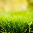 내품에햇살 이미지