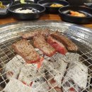 청춘고기정육점
