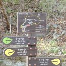 천주산 등산로변(천주암) | 창원 북면 천주산 진달래