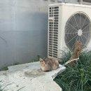 조금느린집 이미지