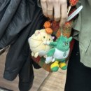 (주)두드림홈 | [2026][02.14] 창원실내체육관 (vs창원LG세이커스)