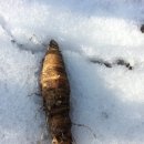 여주-0302 이미지