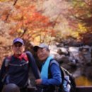 정섭농장 Daum카페
