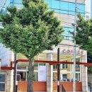 문정건영아파트(105동옆) | 송파 문정동 카페 추천 | 원두 로스팅 카페 브라운칩 후기
