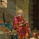 욕망의 열매 이미지