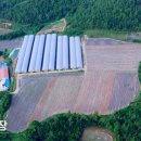 병이농장 이미지