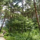 송림임업 - 제천시 | 송림임업