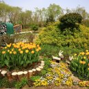 순천만국가정원 이미지