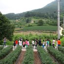 치목삼베마을 이미지