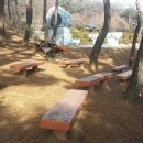 칠갑산아로니아