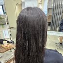 부산 서면 헤어컨설팅 헤어리브 서면점 펌 후기