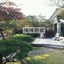○양지마을 2단지 앞 도로 이미지