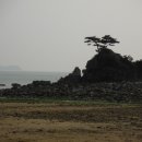 구례포해수욕장(먼동) 이미지