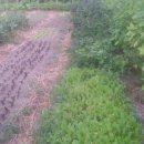 비전농장 이미지