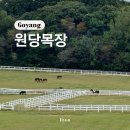 고양시 가볼만한곳 원당종마목장 종마공원 주차 입장료