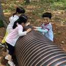 오음초병설유치원 이미지