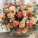 대평중학교(정자동) 이미지