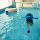 더아리웃집1 이미지