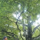 포항시남구55 이미지