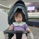 삼계어린이집 | D+561. 마스맘 D. ★또 발열 4일째. 해열제 회. 병원. ★ 식음전폐. 마스애비 가정보육. 어린이집 못감.