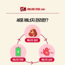 대원에너지 이미지