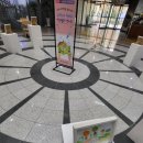 세계비전지역아동센터 이미지