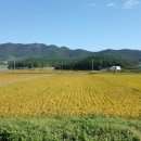 장흥 달바위펜션 이미지