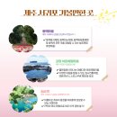 강정어촌체험휴양마을 이미지