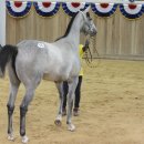 세일목장 이미지