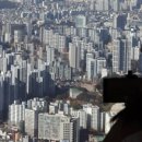 새서울부동산공인중개사사무소 이미지