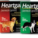 메리알동물병원 이미지