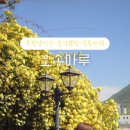 오송모먼트 이미지