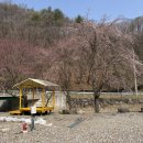 매점화장실 | [횡성/모두의캠핑장] 벚꽃캠명소 횡성 캠핑장 다녀온 솔직후기 (샤워장·화장실·매점 정보)