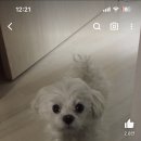 산책갈까 Daum카페
