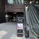 종로 오마카세 추천 스시소라 종로점 | 6만원 런치 내돈내산 후기