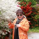 태산목장 이미지