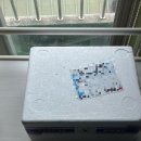 커피향 가득한 디저트 발견! 이브레드 커피콩빵 솔직 후기 🍞