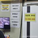 다낚아 낚시터 | 경기 시흥 실내낚시터 빙어축제 겨울방학 초등학생 체험 가볼만한곳