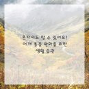 정석외과의원 이미지