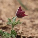 성남시립식물원 이미지