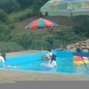 금수산펜션 이미지