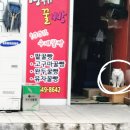 일품양평해장국항남점 이미지